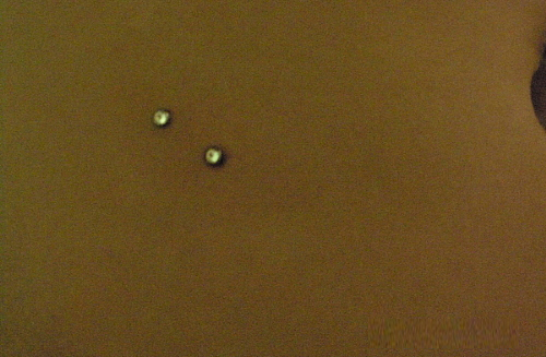 body-pierce2