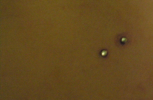 body-pierce3